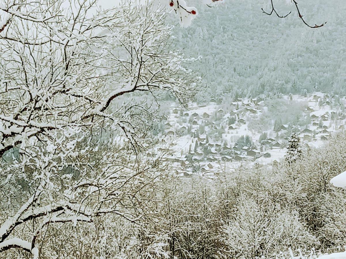 Le Chalet Du Blanc Spa Yoga Aillon-le-Jeune Luaran gambar